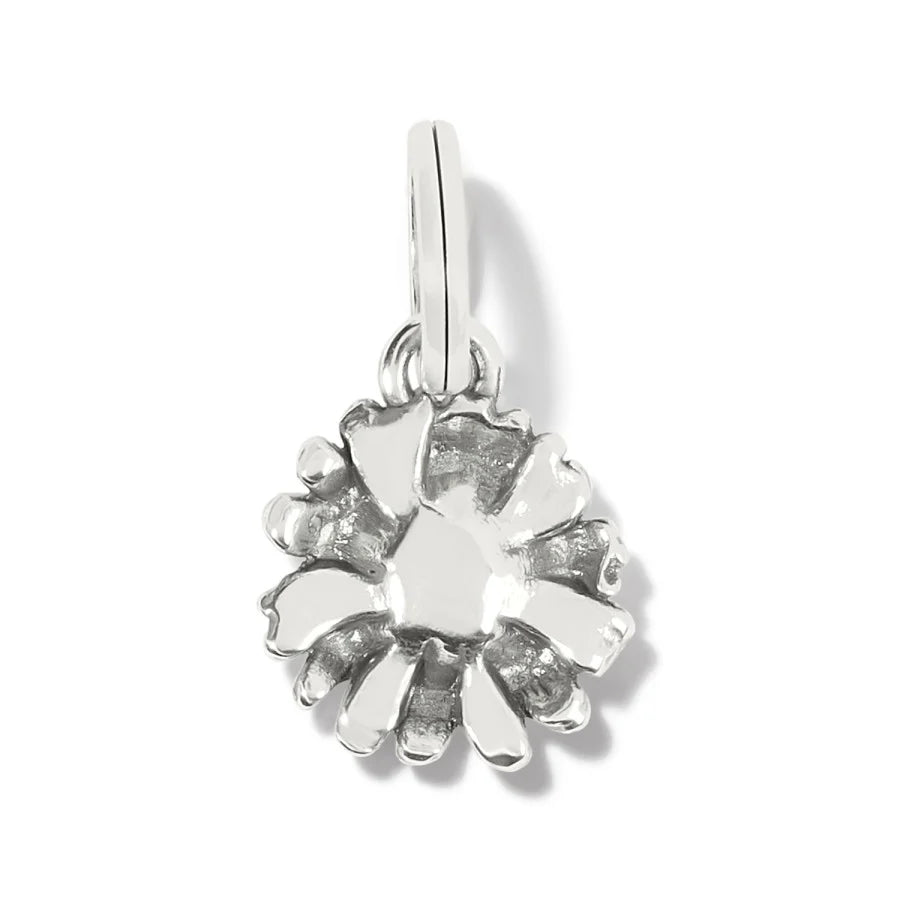 Brighton Daisy Dee Charm JC6772