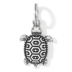 Brighton Pismo Turtle Charm JC6510