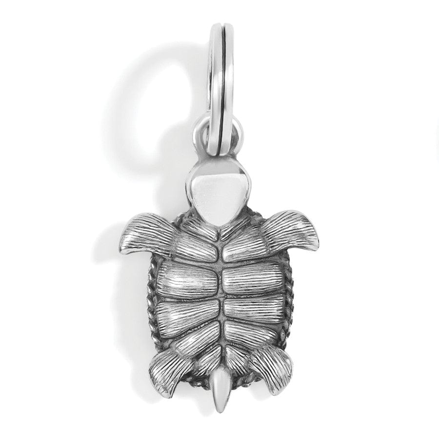 Brighton Pismo Turtle Charm JC6510