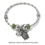 Brighton Pismo Turtle Charm JC6510